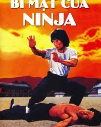 Bí Mật Của Ninja