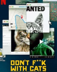 Đừng đùa với mèo: Săn lùng kẻ sát nhân trên mạng