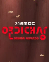 MBC Drama Awards 2018