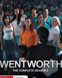 Wentworth (Phần 3)