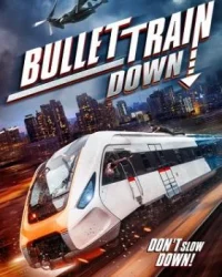 Bullet Train Down (2022)