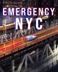 Khẩn cấp: New York