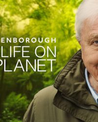 David Attenborough: Một Cuộc Đời Trên Trái Đất