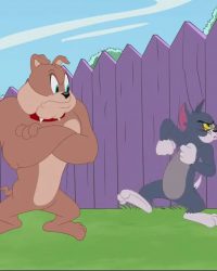 The Tom And Jerry Show (Phần 3)